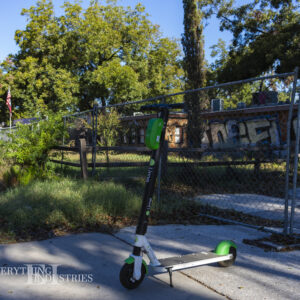 Two expressions of capitalism