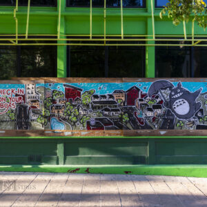 Pandemic 6th Street 30